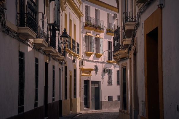 A Day in Valencia