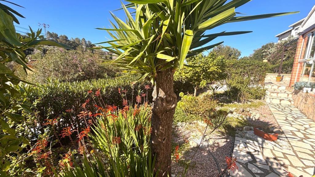 2 bed villa in Denia