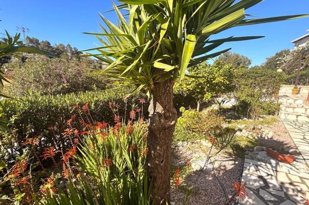 2 bed villa in Denia