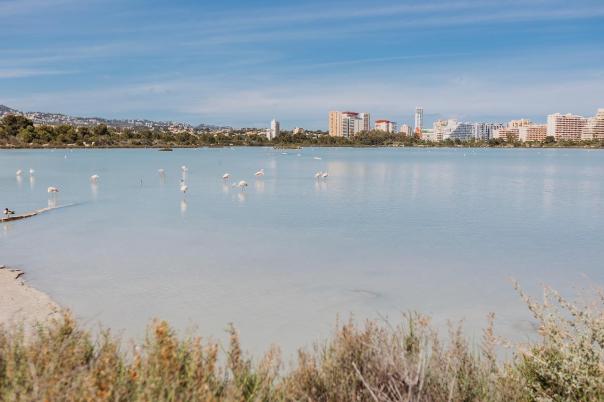 apartments - flats in Calpe