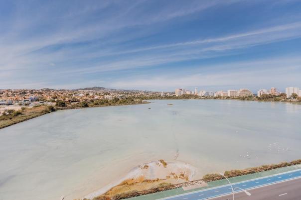 apartments - flats in Calpe