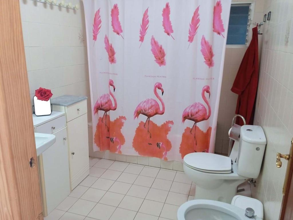 5 bed chalet in Elche/Elx