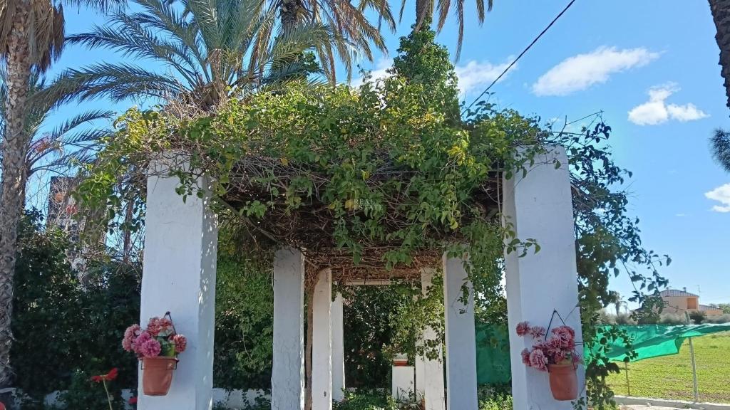 5 bed chalet in Elche/Elx