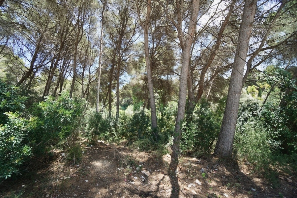 plots of land in Moraira