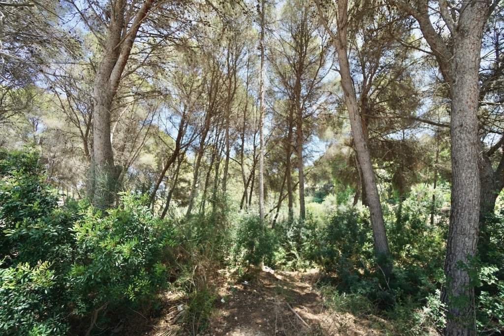 plots of land in Moraira