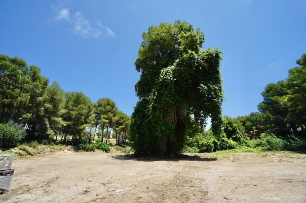 plots of land in Moraira