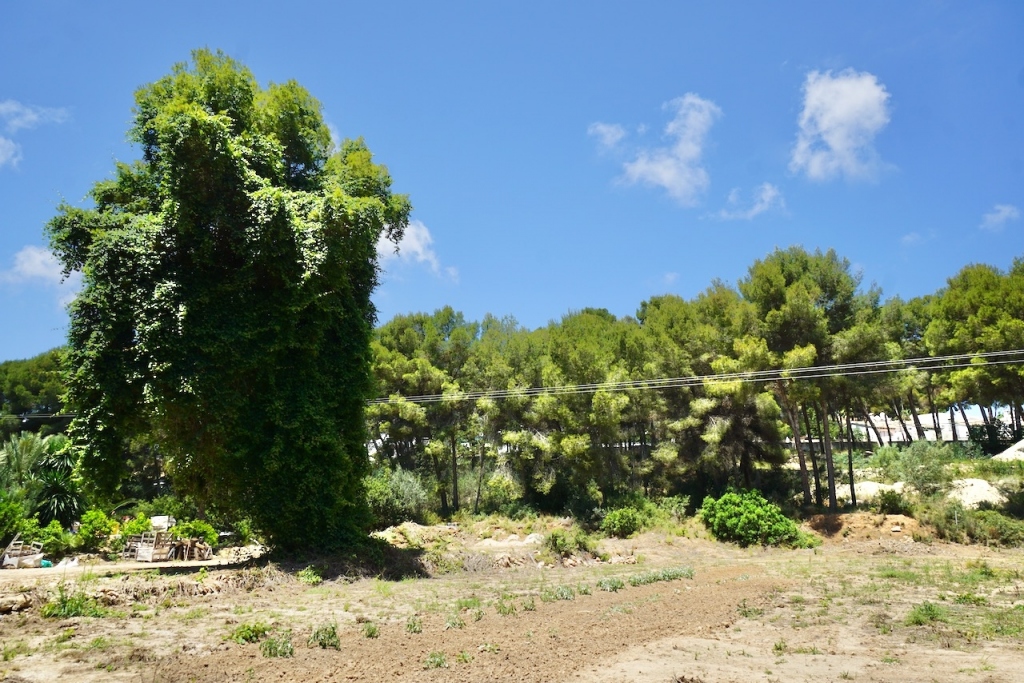 plots of land in Moraira