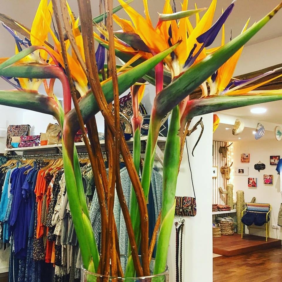 Cardamom Boutique