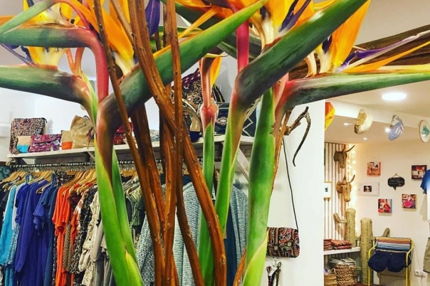 Cardamom Boutique