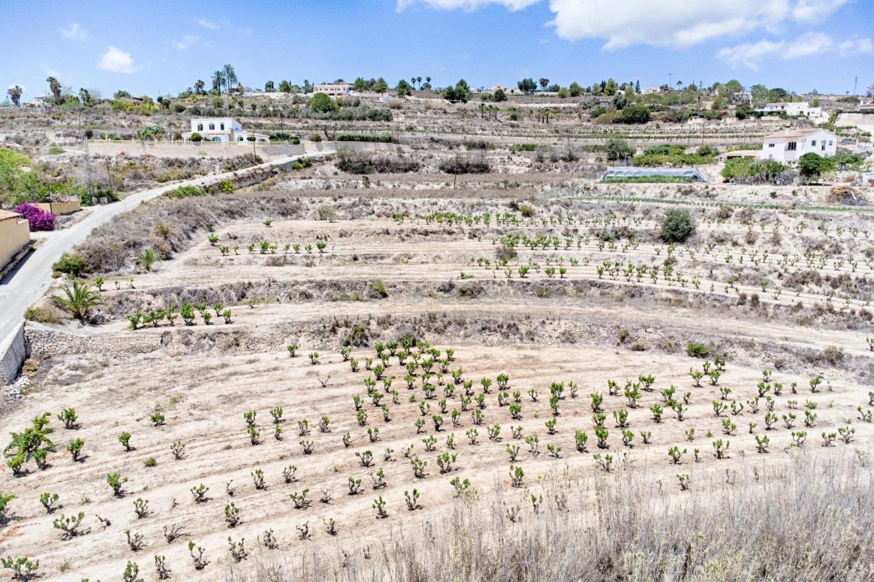 plot in Moraira