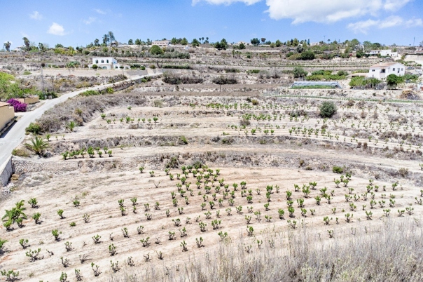 plot in Moraira