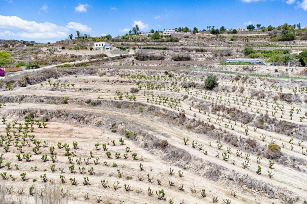 plot in Moraira