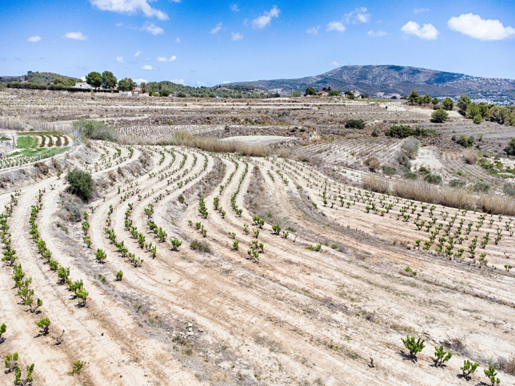 plot in Moraira