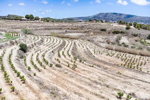plot in Moraira