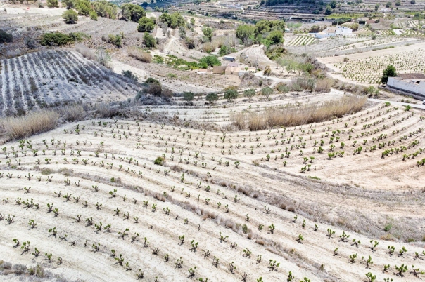 plot in Moraira