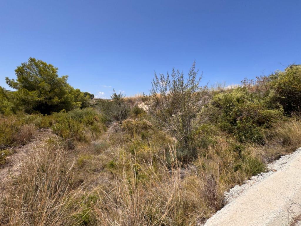 plot in Teulada
