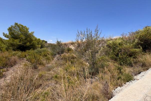 plot in Teulada