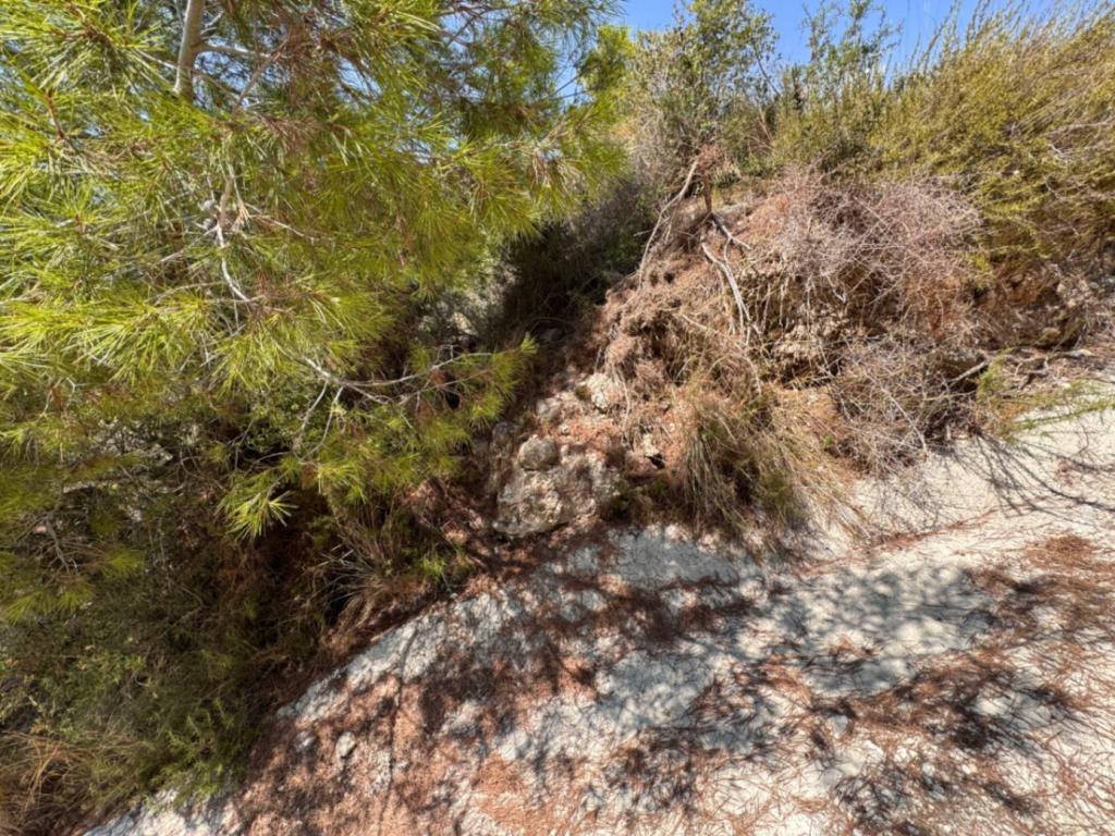 plot in Teulada