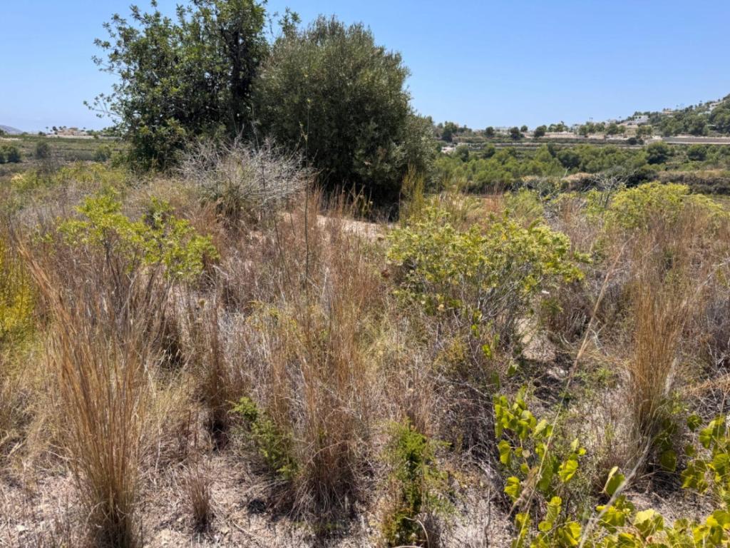 plot in Teulada