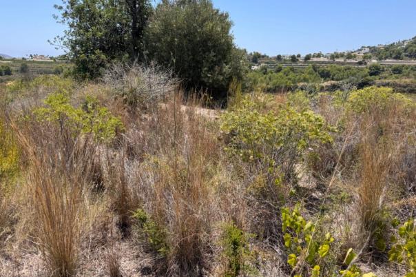plot in Teulada