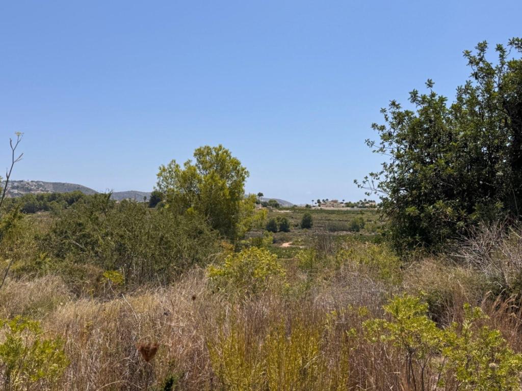 plot in Teulada
