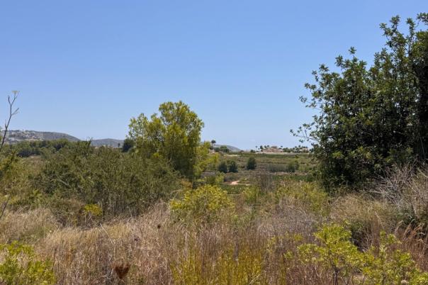 plot in Teulada