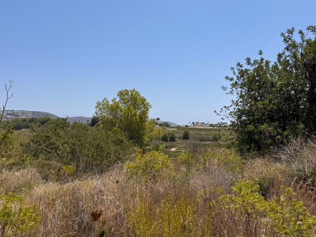 plot in Teulada