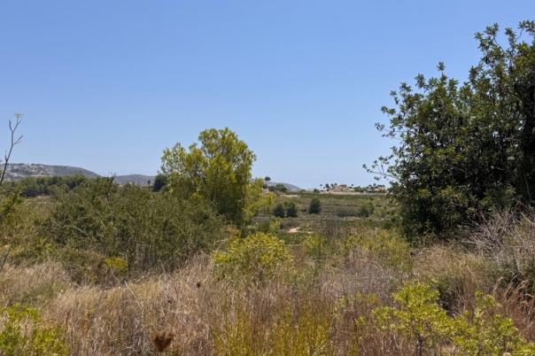 plot in Teulada