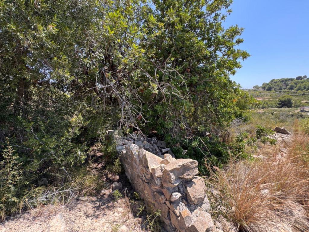plot in Teulada