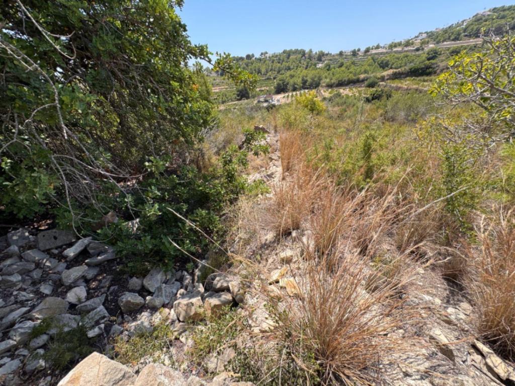 plot in Teulada