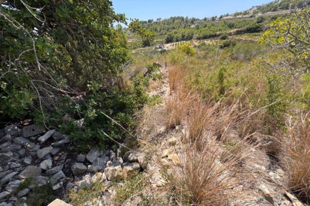 plot in Teulada