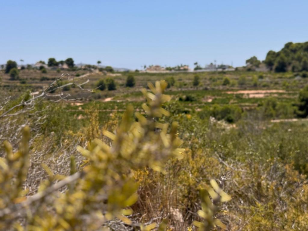 plot in Teulada