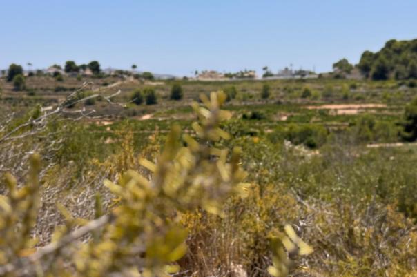 plot in Teulada