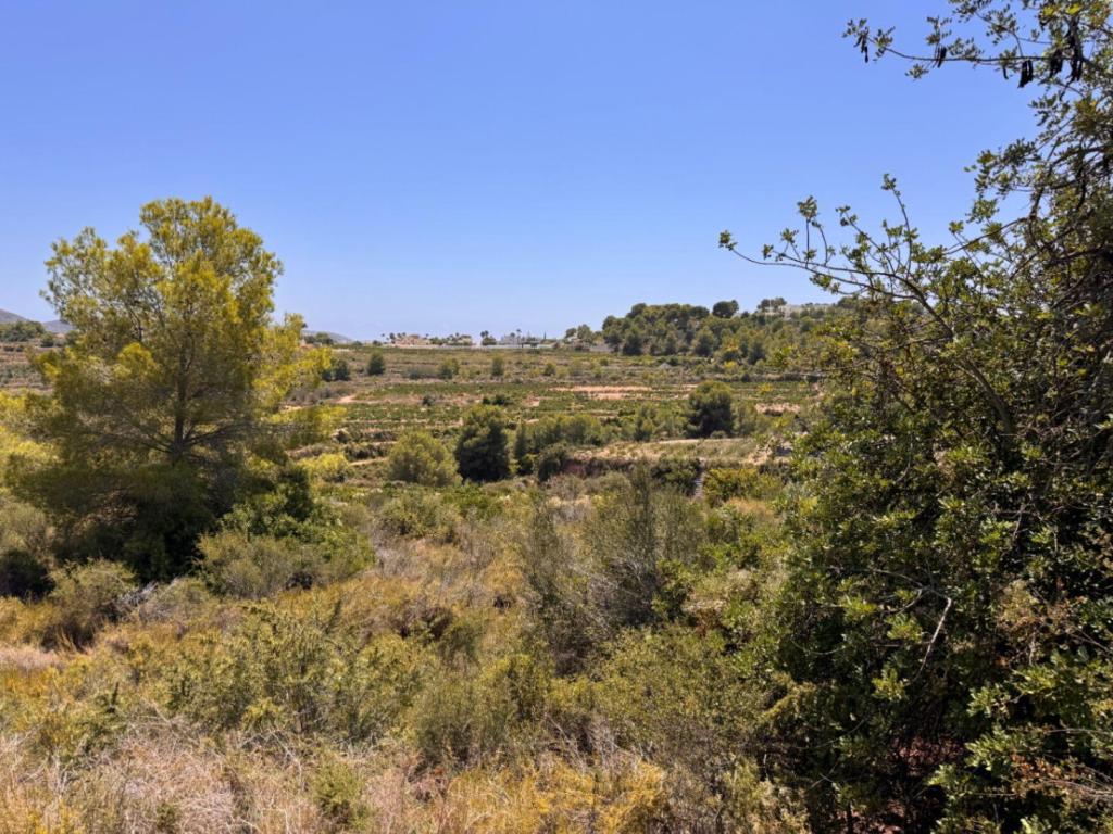 plot in Teulada