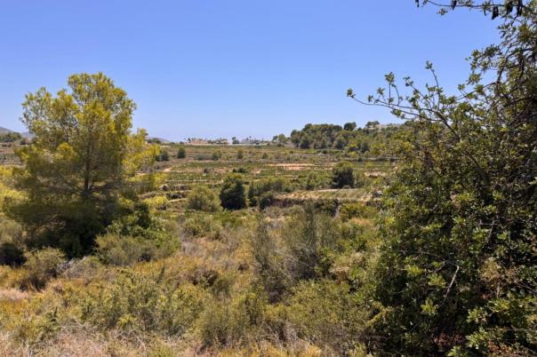 plot in Teulada