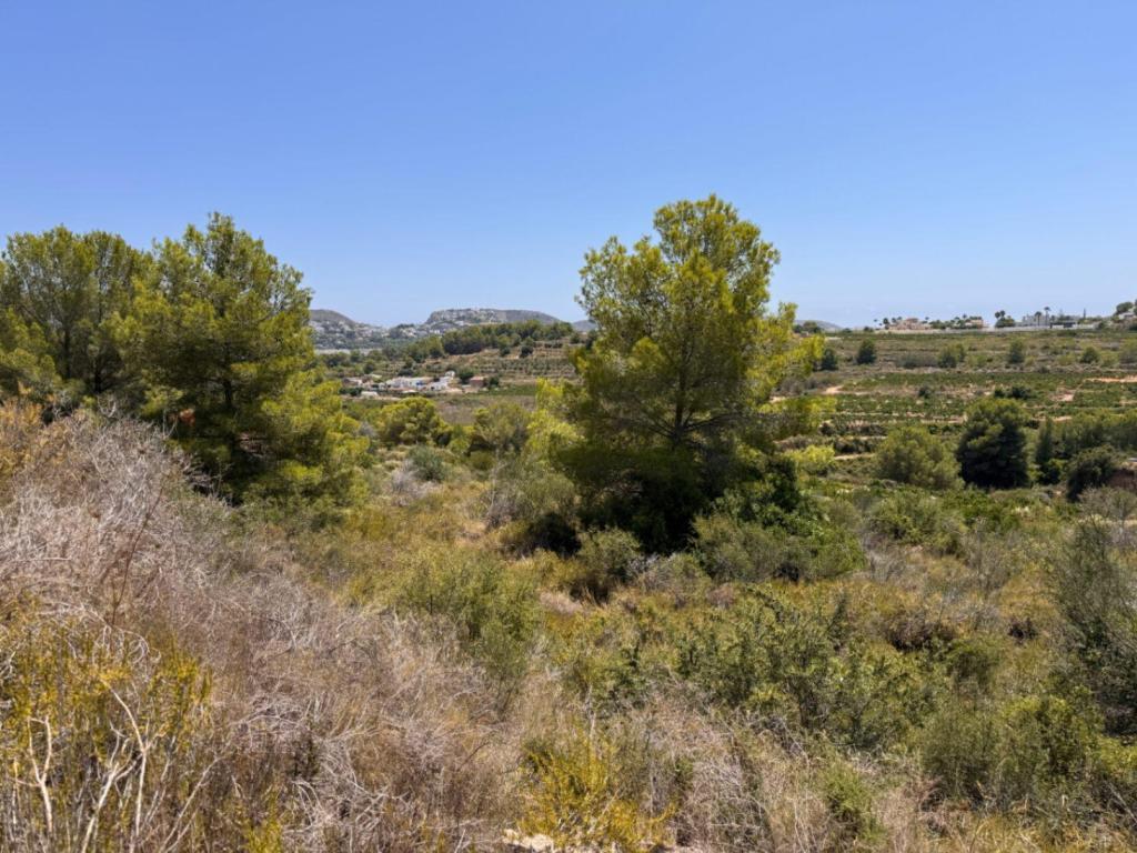 plot in Teulada