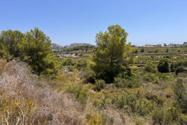plot in Teulada