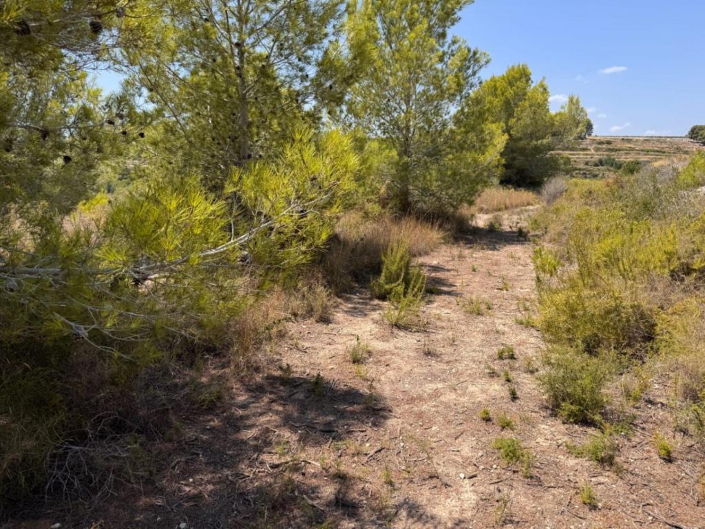 plot in Teulada