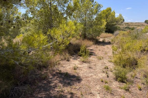 plot in Teulada