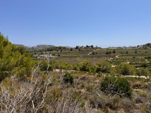 plot in Teulada