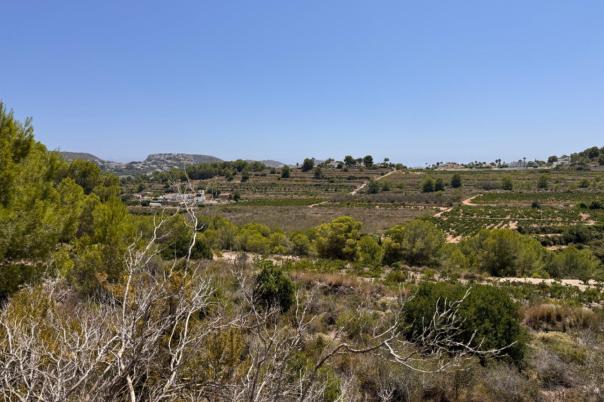 plot in Teulada