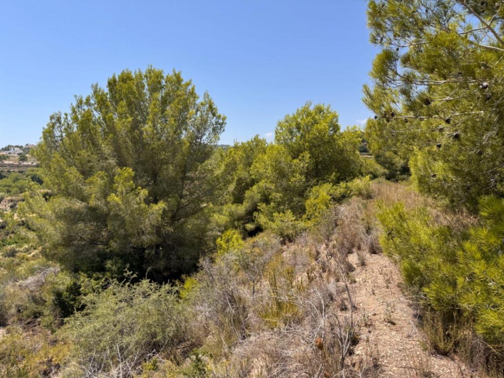 plot in Teulada