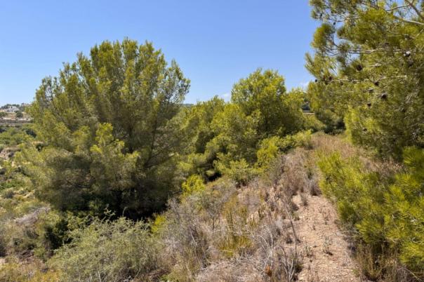 plot in Teulada