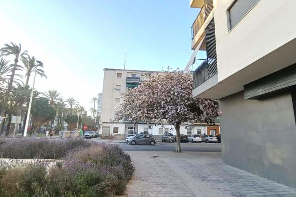 3 bed apartment in Elche/Elx