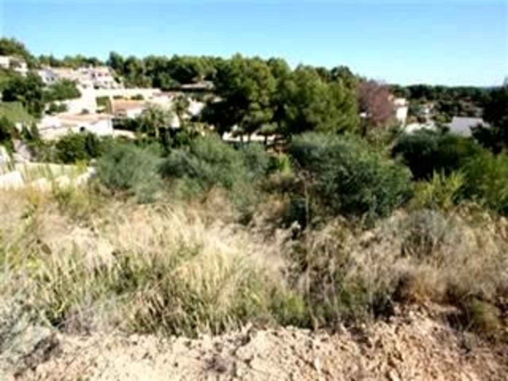 plot in Benissa