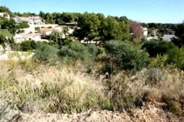plot in Benissa