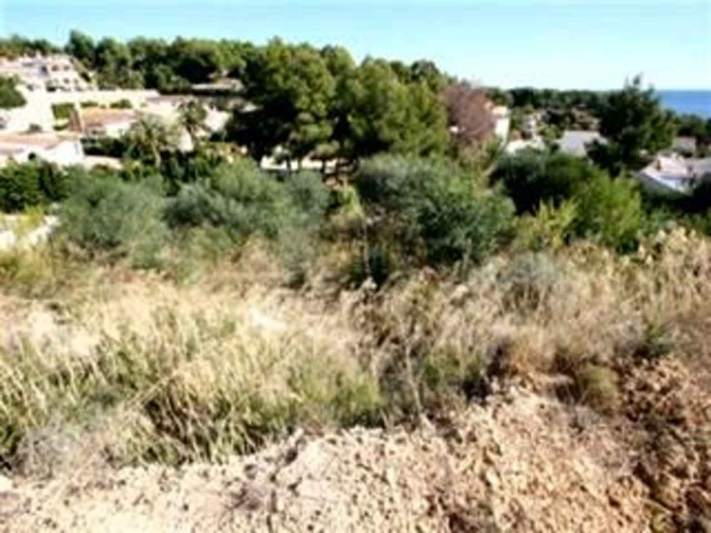 plot in Benissa
