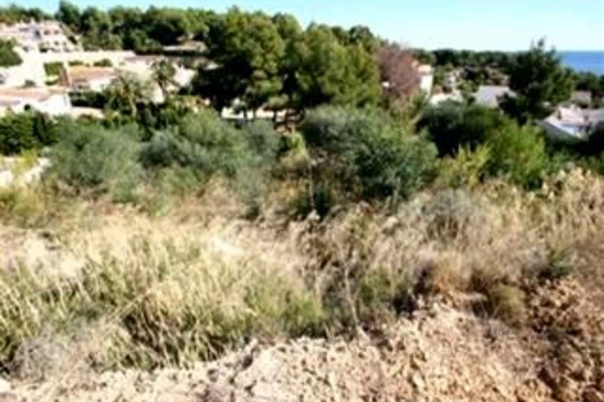 plot in Benissa