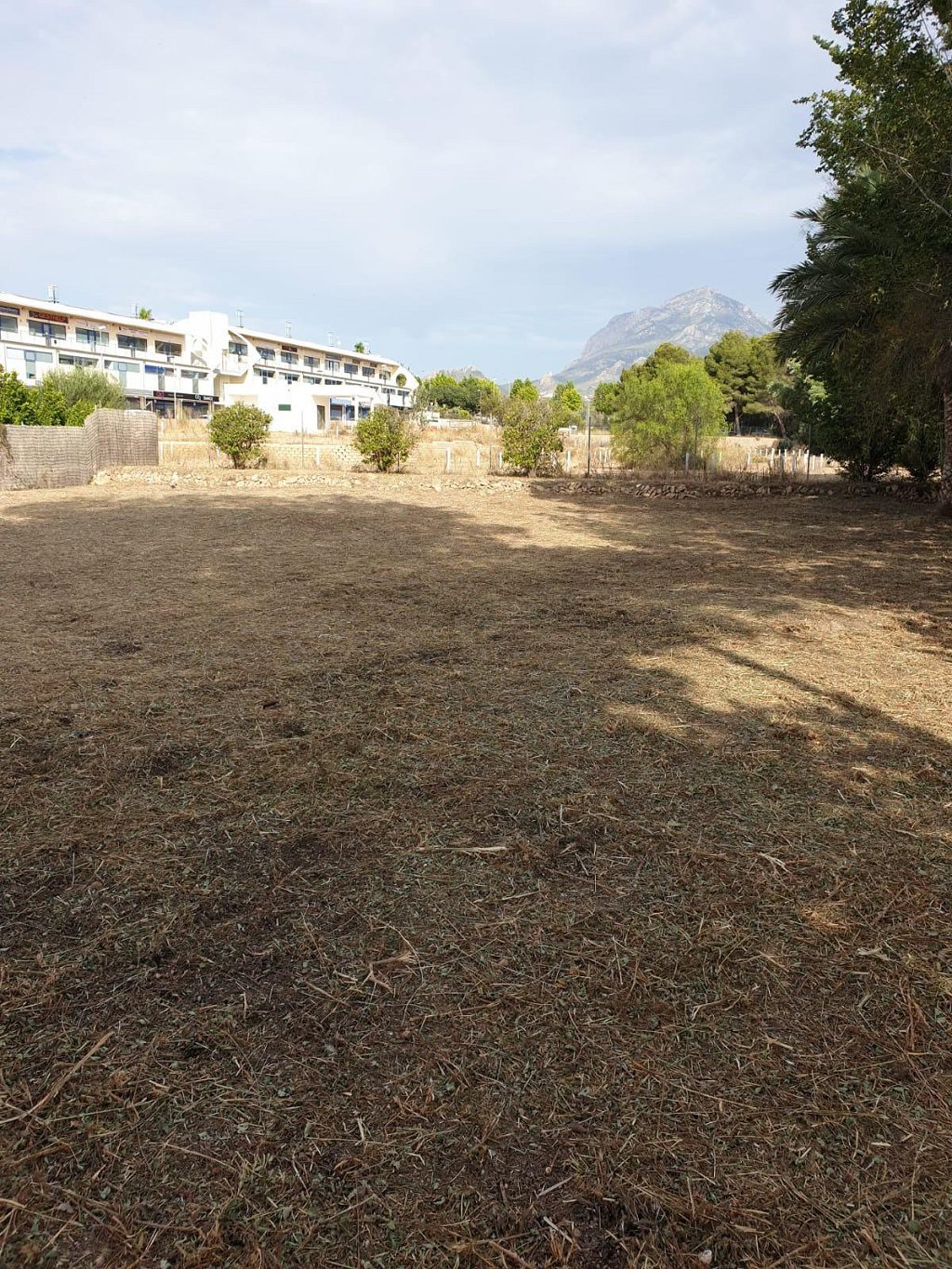 plot in Alfaz del Pi