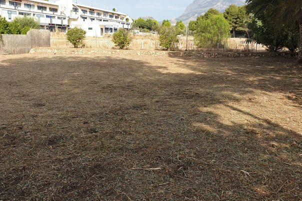 plot in Alfaz del Pi